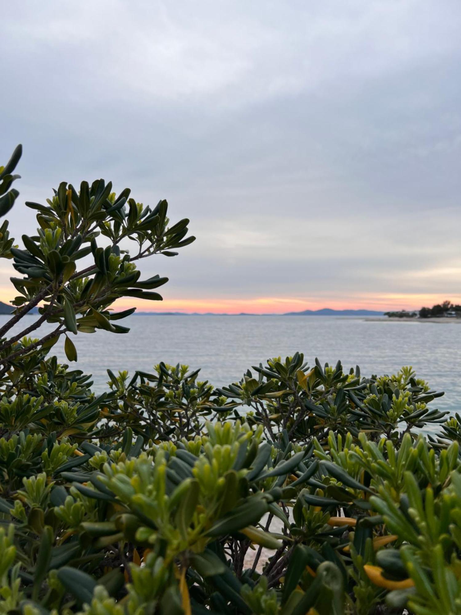 Green Turtle - Lovely, Brand New Holiday Home Near The Sea Drage Eksteriør billede